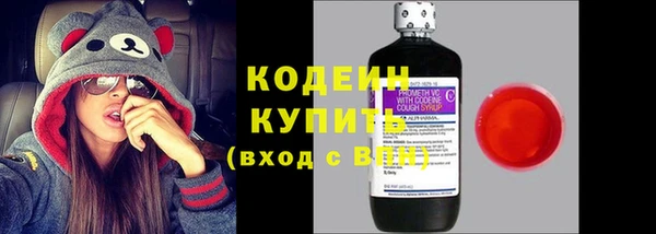 шишки Краснослободск
