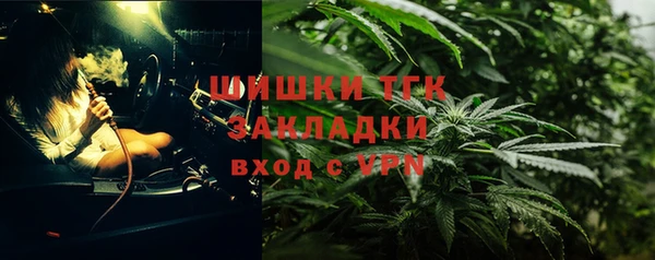 шишки Краснослободск